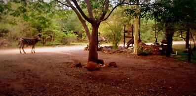 Phumula Kruger Lodge