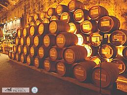 The Wine House Hotel - Quinta da Pacheca