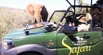 Addo African Home
