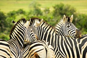 Addo African Home