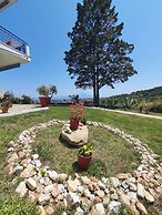 SartiVista