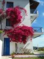 SartiVista