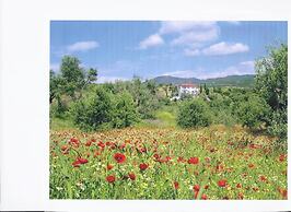 SartiVista