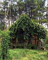 Olympos Village