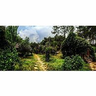 Olympos Village