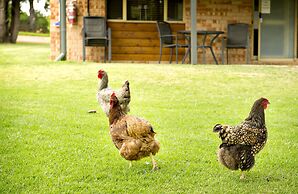 Peppermint Brook Cottages