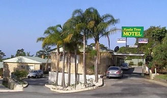 Koala Tree Motel