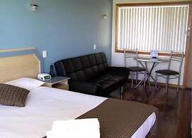 Koala Tree Motel