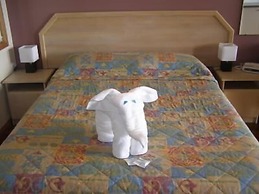 Koala Tree Motel