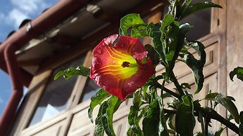 El Balcon