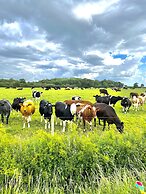 New Farm Bed & Breakfast