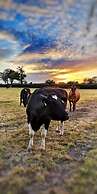 New Farm Bed & Breakfast