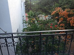 Elite Apartments