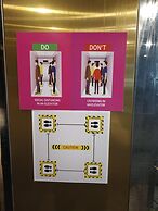 Royal Orchid Central Kireeti