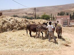 Dar Zitoune - Guest House