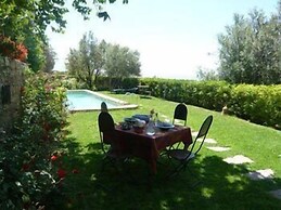 Dar Zitoune - Guest House