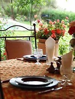 Dar Zitoune - Guest House