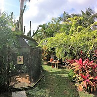Baldwin's Guest House Cozumel