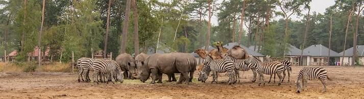 Safari Resort Beekse Bergen