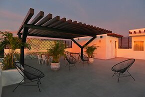 Solea 505