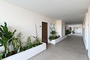 Solea 406