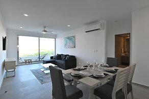 Solea 406