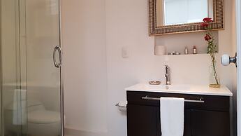 Condesa Haus Rentals