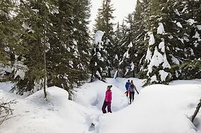 Crystal Forest #66 By Bear Country