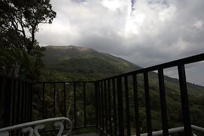 Bosques del Tibet