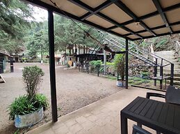 Bosques del Tibet