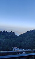 Bosques del Tibet
