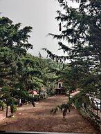 Bosques del Tibet