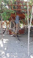 Iguana Rana Cabins Bacalar