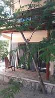 Iguana Rana Cabins Bacalar