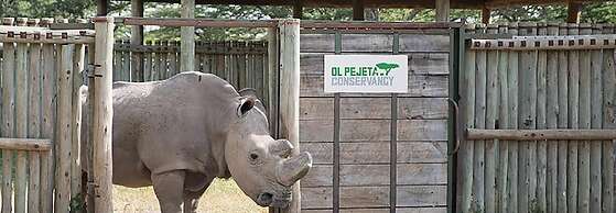 Ol Pejeta Holiday Villas