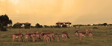Ol Pejeta Holiday Villas