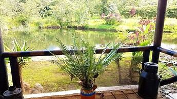 La Penal Amazon Lodge