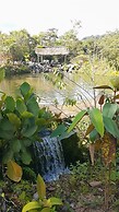 La Penal Amazon Lodge