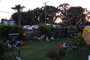 Hare Hotel