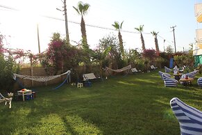 Hare Hotel