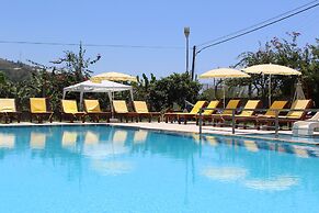 Hare Hotel
