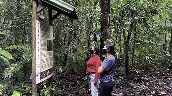Campamento Rio Lacanja