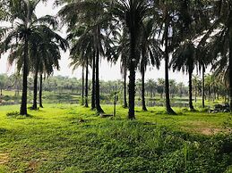 Palm Garden House