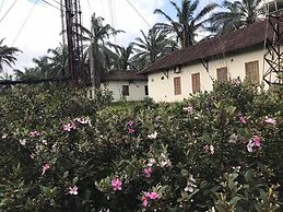 Palm Garden House