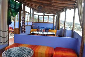 Casa Blue Star