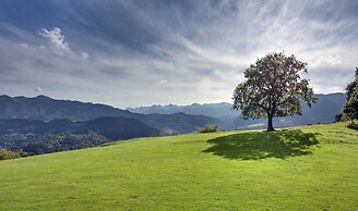 La Montaña Mágica