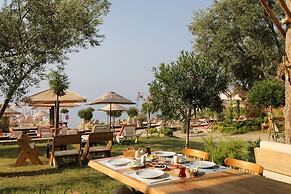 Antique Beach and Bungalow