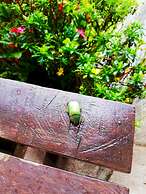 Cabañas Las Orquideas