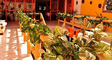 Hotel Mixti