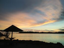 Salty Dog Hostel